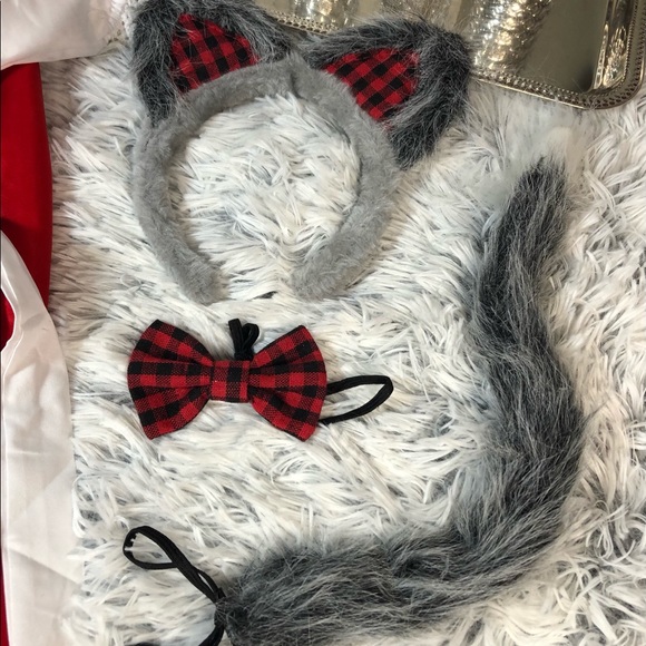 Little Red Ridding Hood & Big Bad Wolf Siblings Costumes - Picture 14 of 16